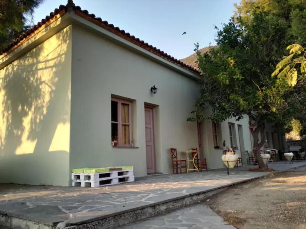 Arsinoe - Cosy Guesthouse- Méthana Екстериор снимка